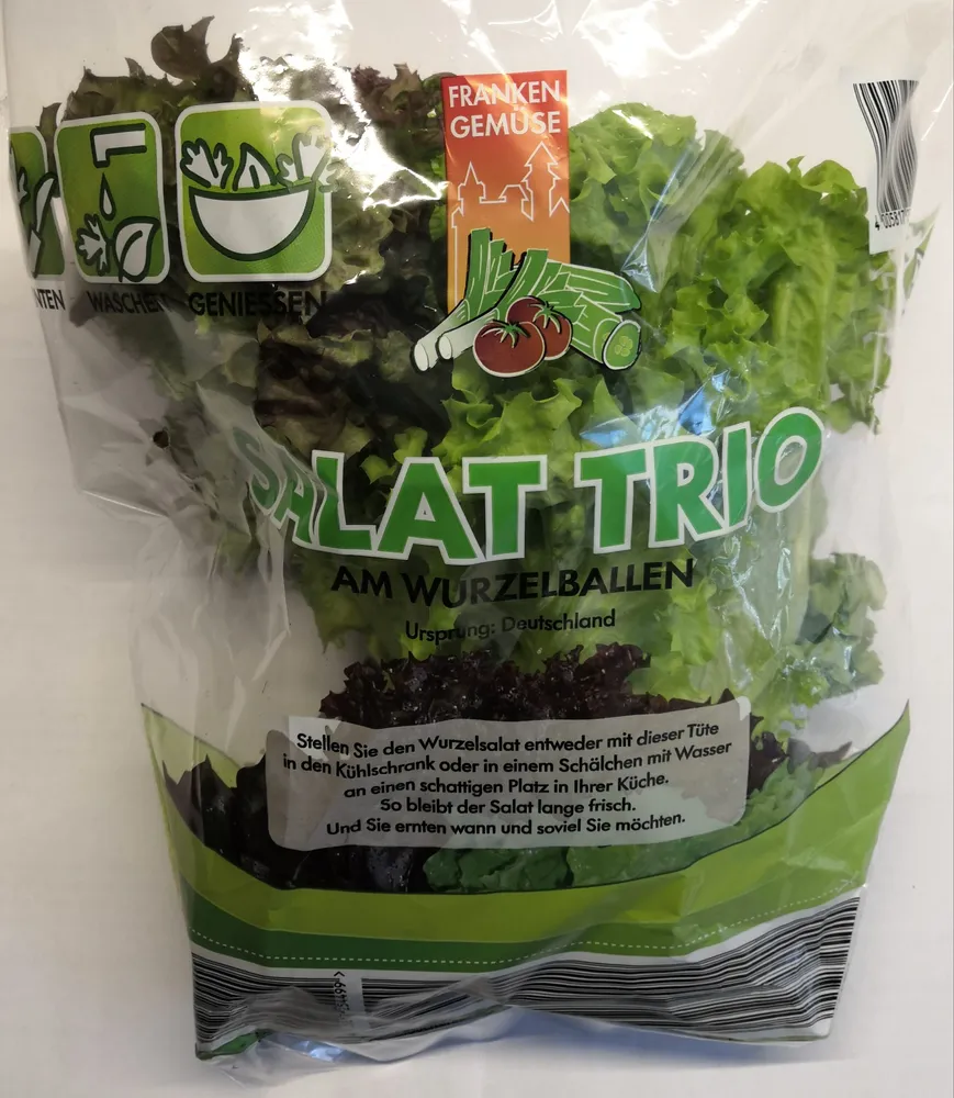 Salat-Trio am Wurzelballen