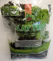Salat-Trio am Wurzelballen