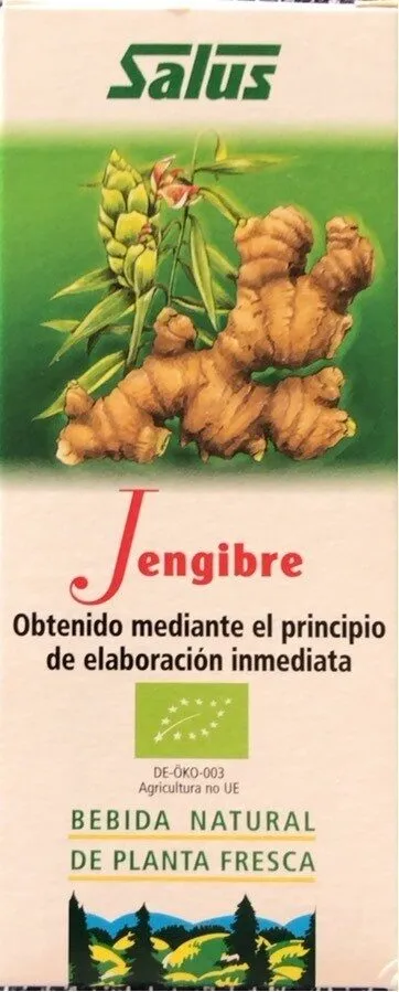 Jenjibre
