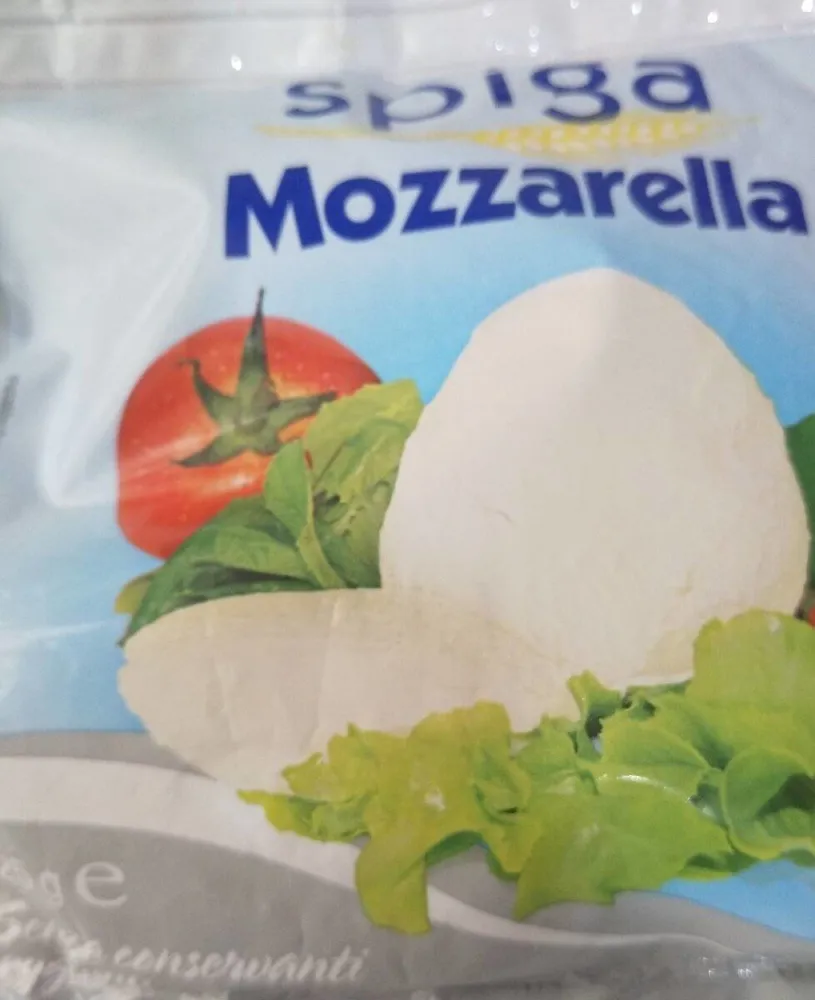 Queso mozarela