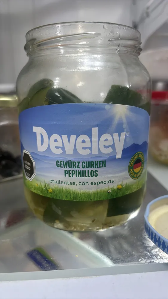 GEWÜRZ GURKEN PEPINILLOS