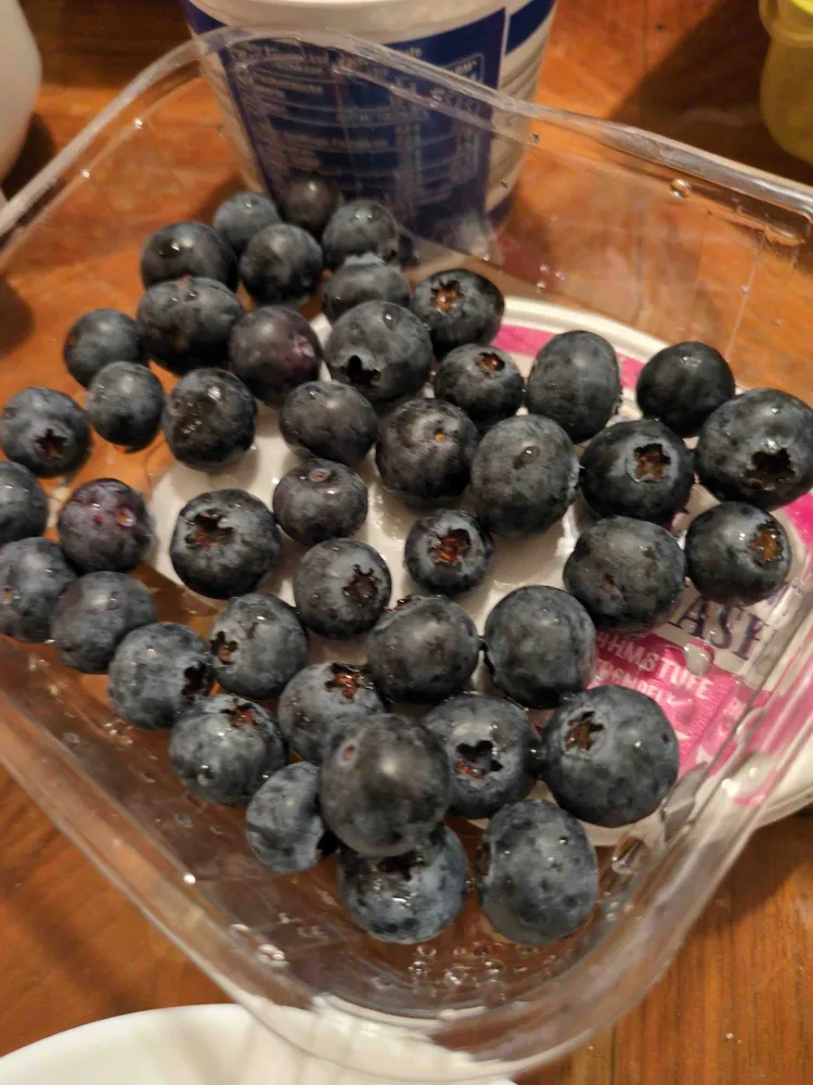 Kulturheidelbeeren