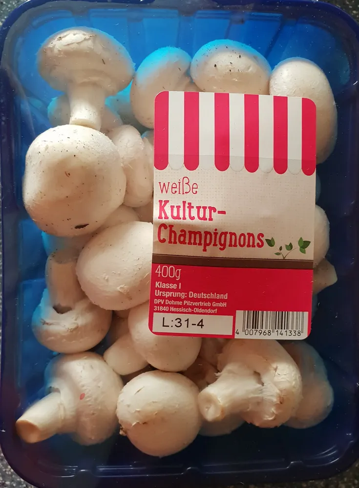 weiße Kultur-Champignons