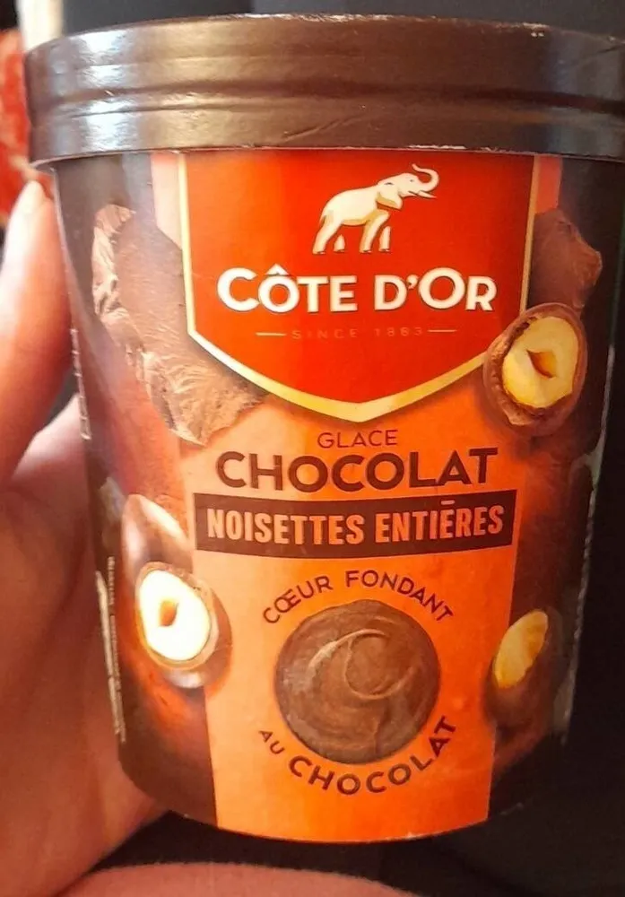 glace chocolat noisettes entières