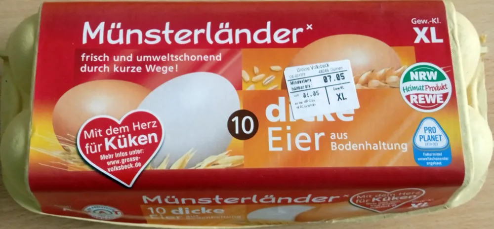 dicke Eier aus Bodenhaltung