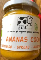 Ananas coco
