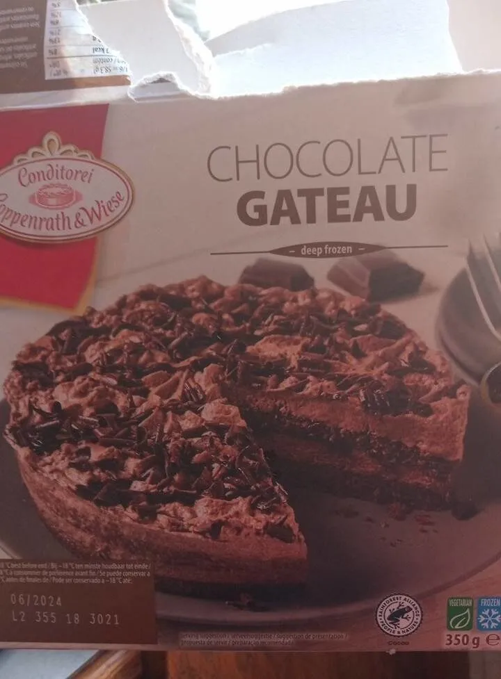Chocolate gateau
