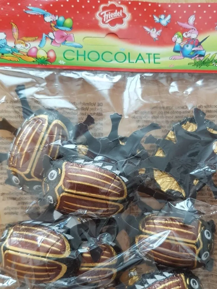 Scarabées chocolat
