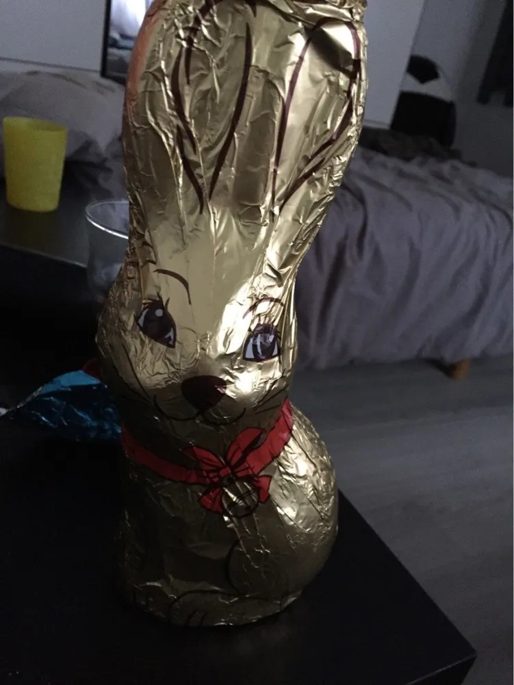 Lapin rn chocolat