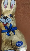 Chocolate bunny