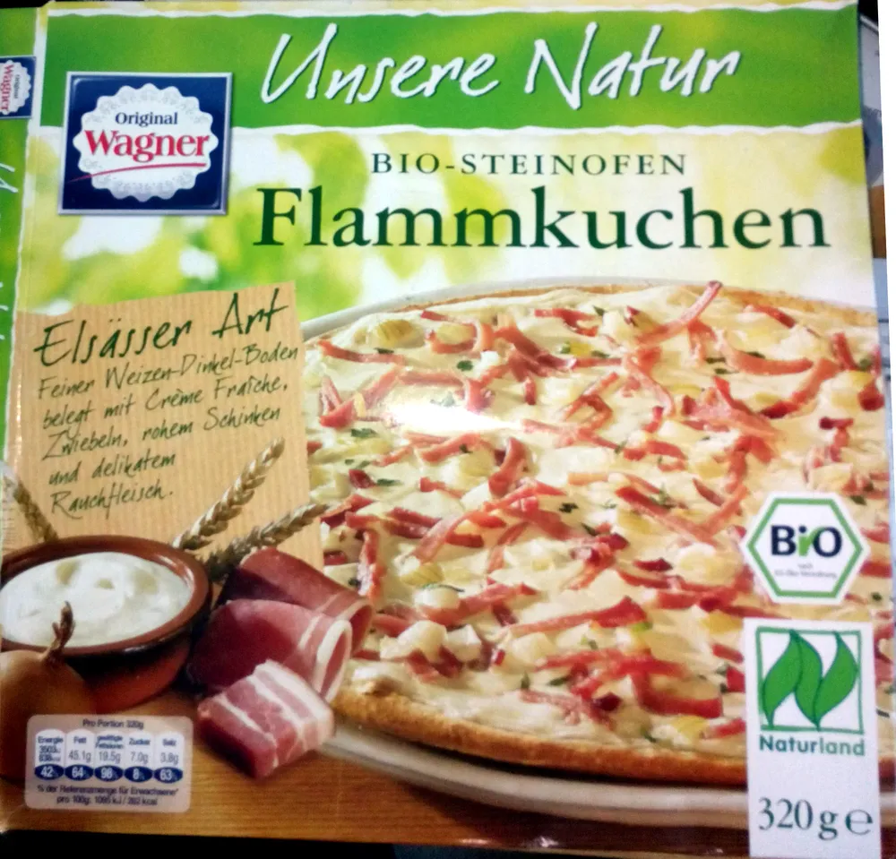 Bio-Steinofen Flammkuchen