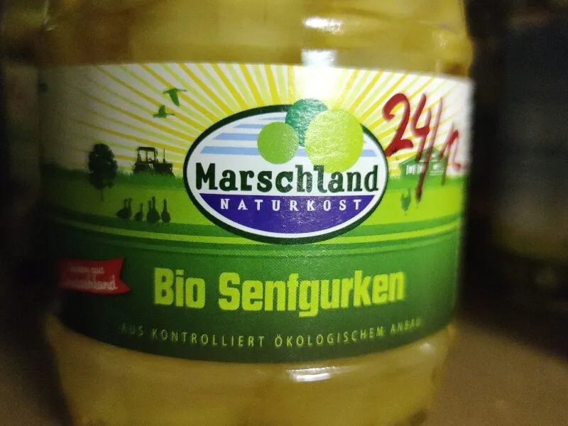 Senfgurken