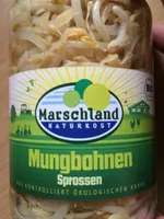Mungobohnen Sprossen