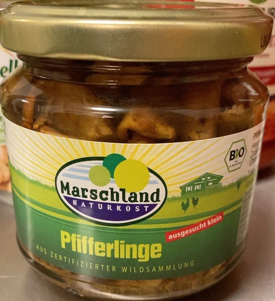 Pfifferlinge