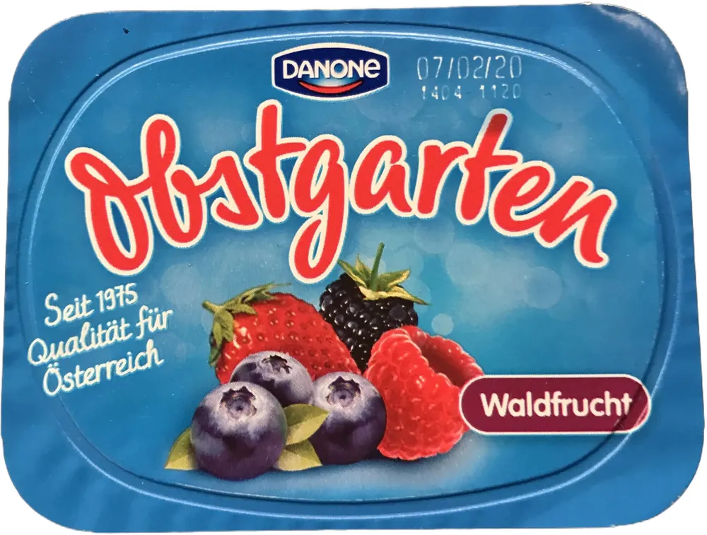 Danone Obstgarten Waldfrucht 190g