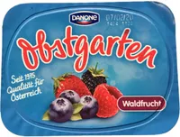 Danone Obstgarten Waldfrucht 190g