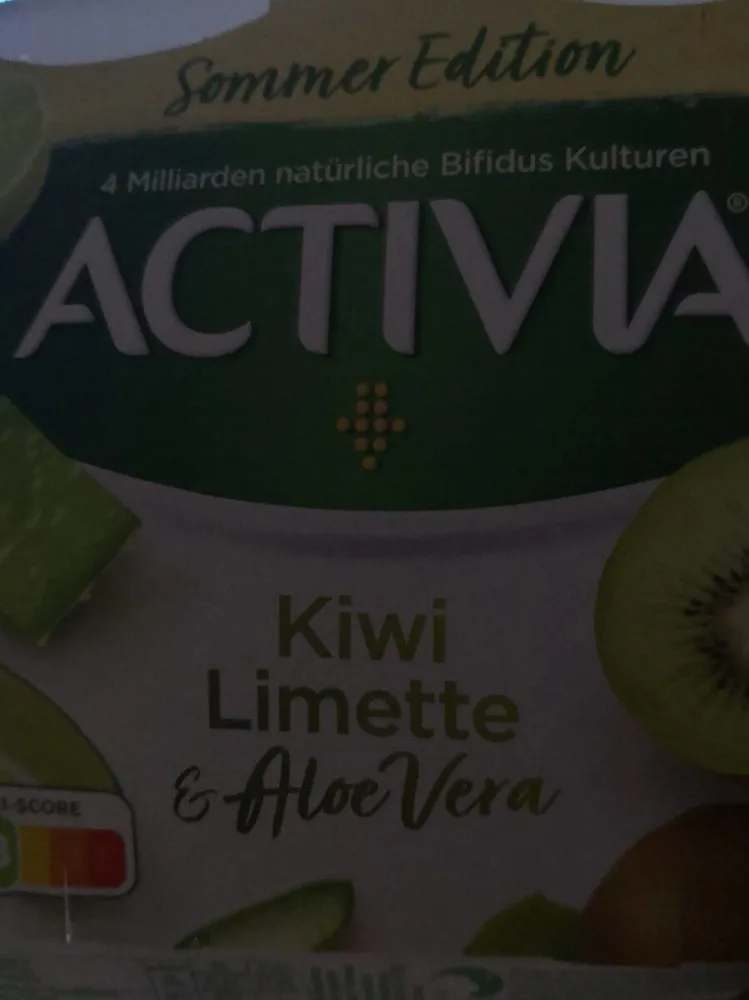 Danone ACTIVIA® Sommer Edition Kiwi/Aloe Vera 3,5% 4 x 115g = 460g