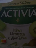 Danone ACTIVIA® Sommer Edition Kiwi/Aloe Vera 3,5% 4 x 115g = 460g