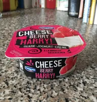 Danone Quark-Joghurt-Creme CHEESE BERRY HARRY! 150g