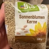 Sonnenblumen Kerne