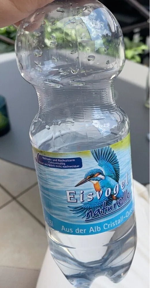 Eisvogel naturelle