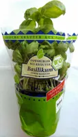 Basilikum