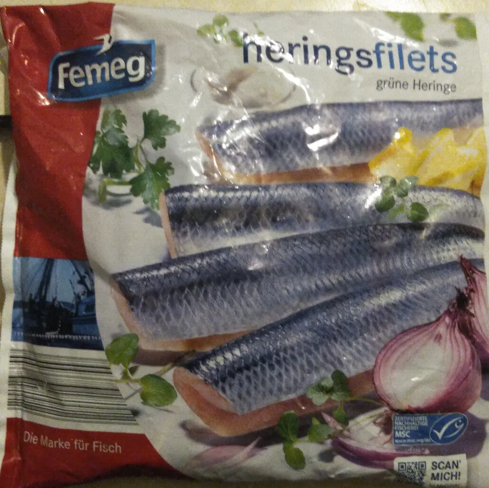 Heringsfilets grüne Heringe