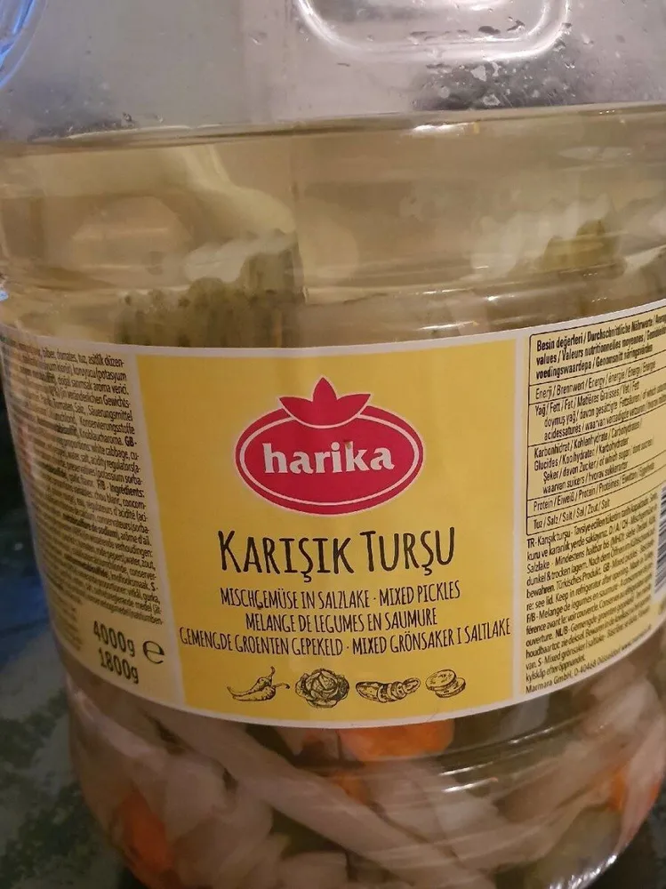 Karisik tursu