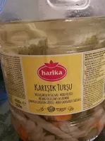 Karisik tursu