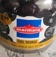 ÖZEL DEVASA YAĞLI GEMLİK SELE ZEYTİNİ