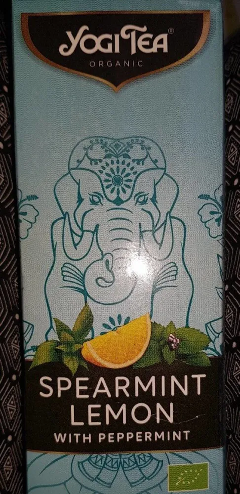 Thé glacé menthe poivrée citron 1 l