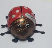 Coccinelle