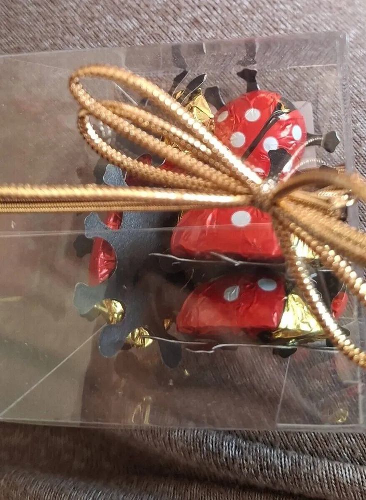 coccinelle chocolat