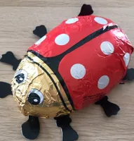 Schokoladenmarienkäfer