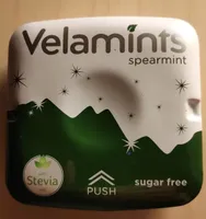 Zuckerfreie Spearmint Pastillen