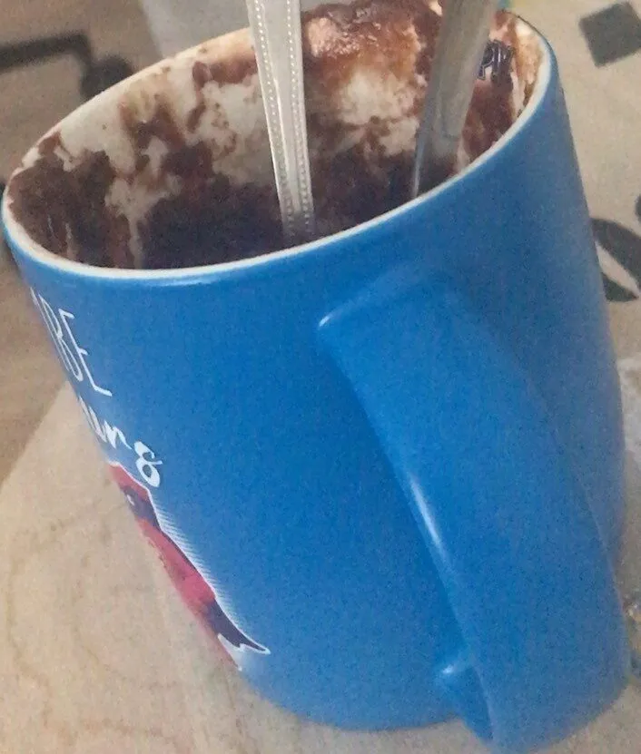 Mug Cake