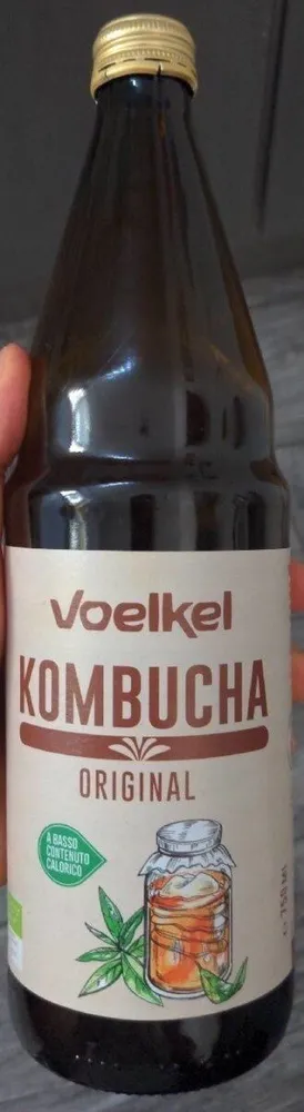Kombucha