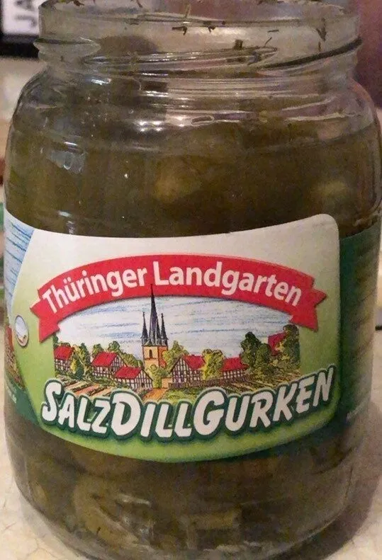 Salz Dill Gurken