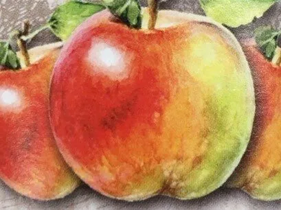 Bio-Apfelsaft