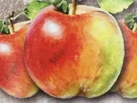 Bio-Apfelsaft