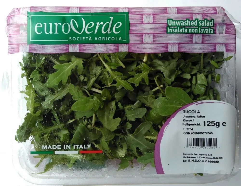 Rucola