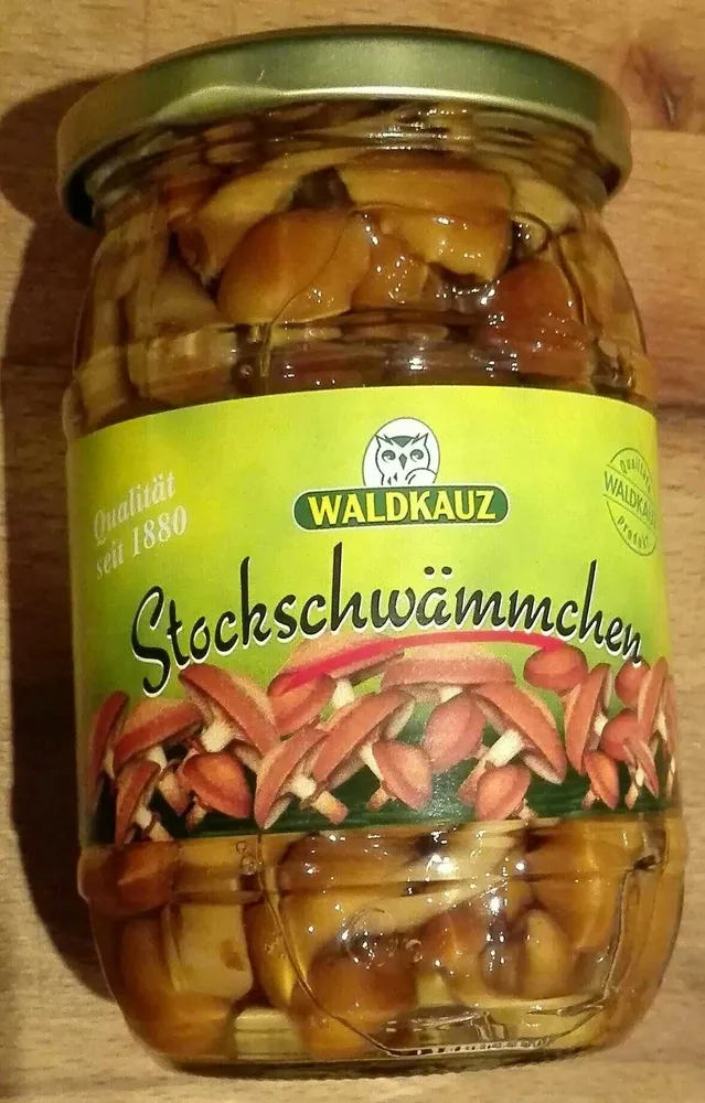Stockschwämmchen