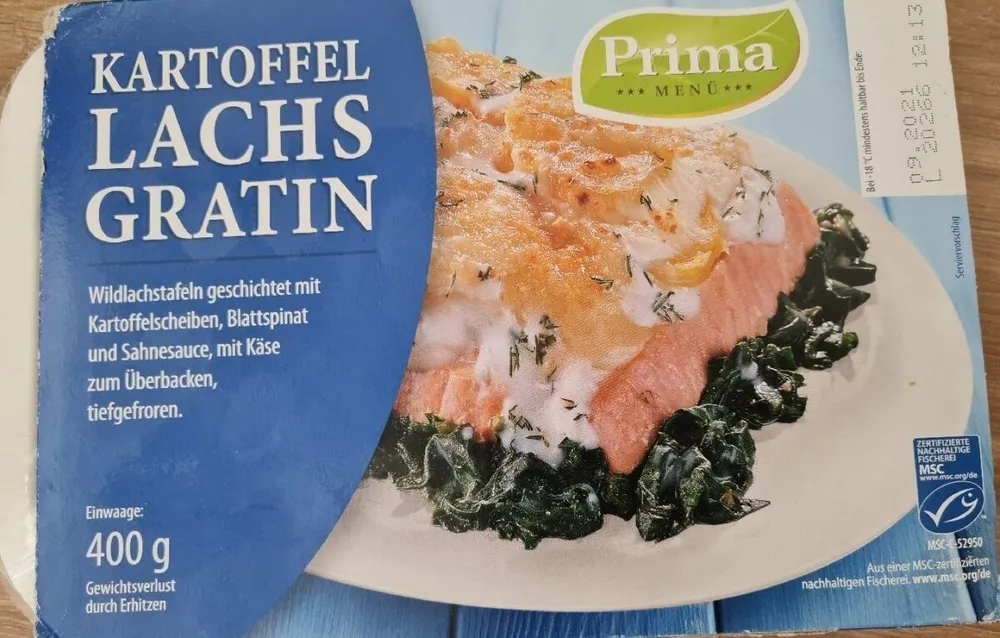 Kartoffel Lachs Gratin
