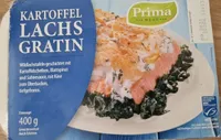 Kartoffel Lachs Gratin