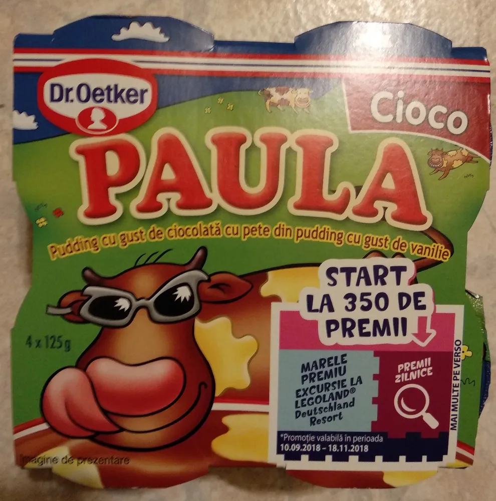 Paula pudding cu gust de ciocolata și vanilie