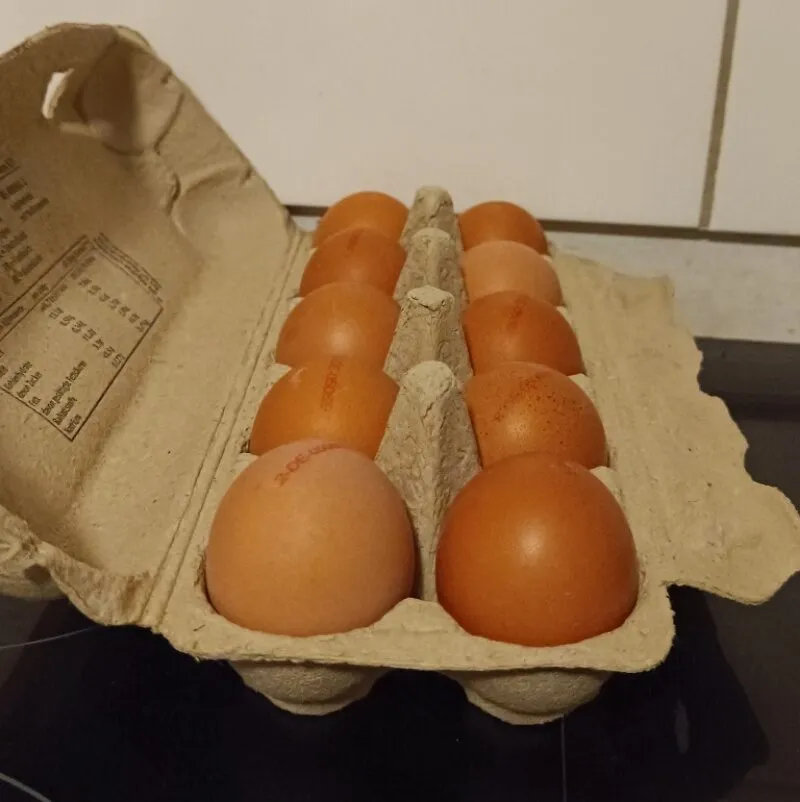 Eier