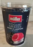 Yogurt cremoso more e lamponi