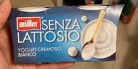 Yogurt bianco senza lattosio