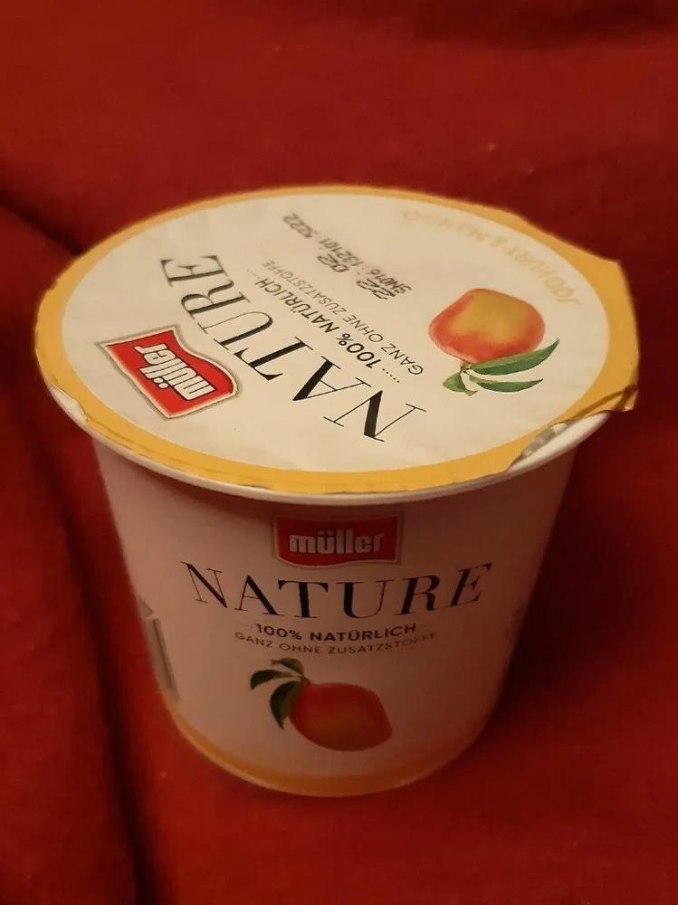 Naturjoghurt & Mango