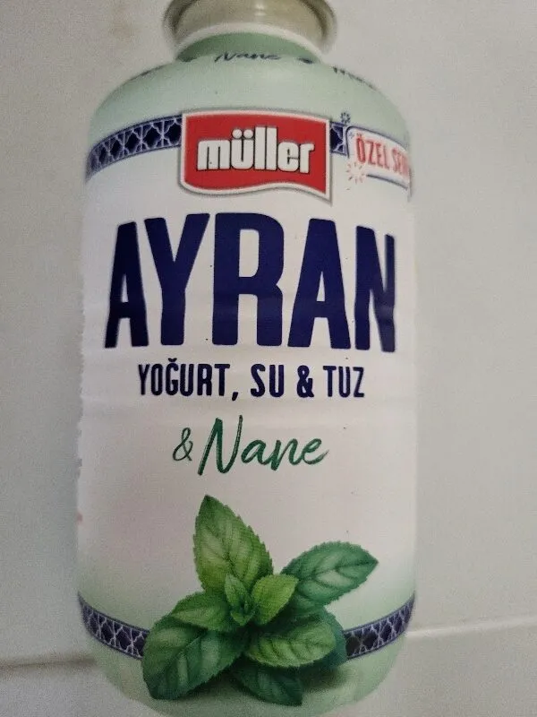 AYRAN Joghurt, Wasser & Salz & Minze
